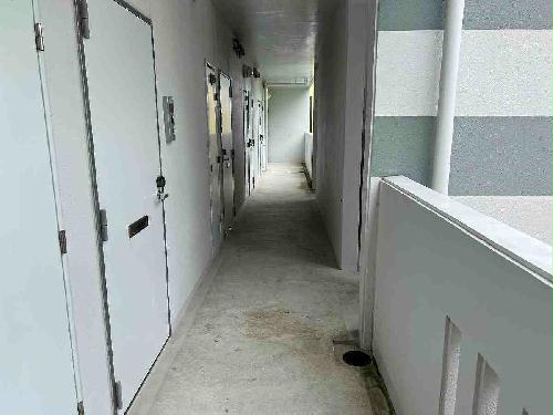 12/17 その他画像