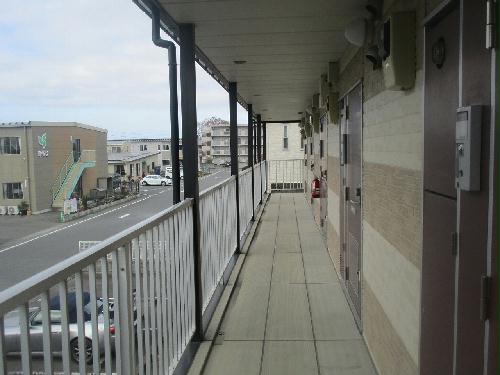 11/14 その他画像