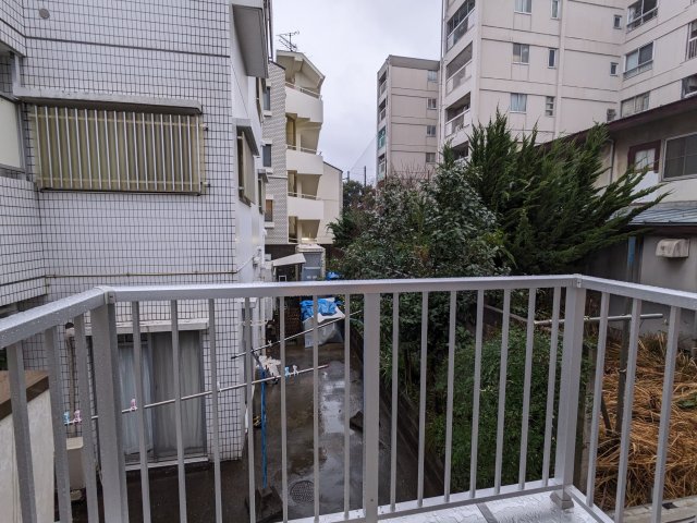 20/30 その他画像