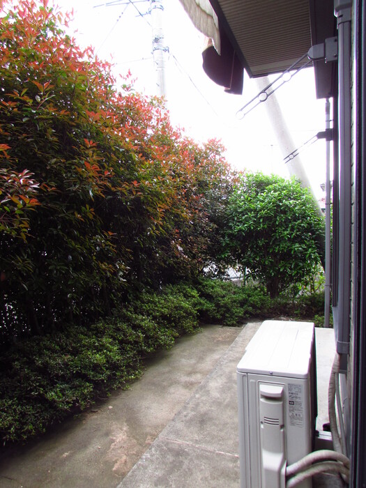 12/16 その他画像