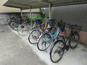 15/16 その他画像