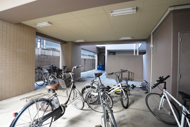 13/19 その他画像