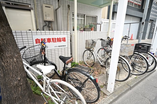 3/14 その他画像