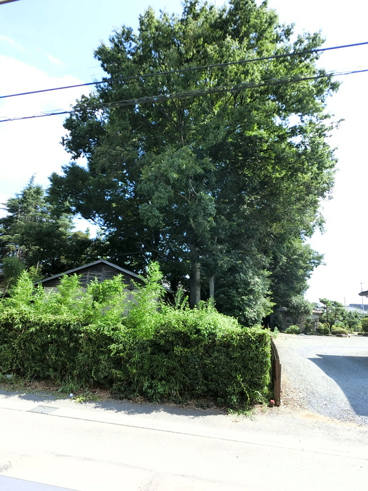 15/24 その他画像