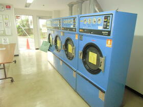 11/11 その他画像