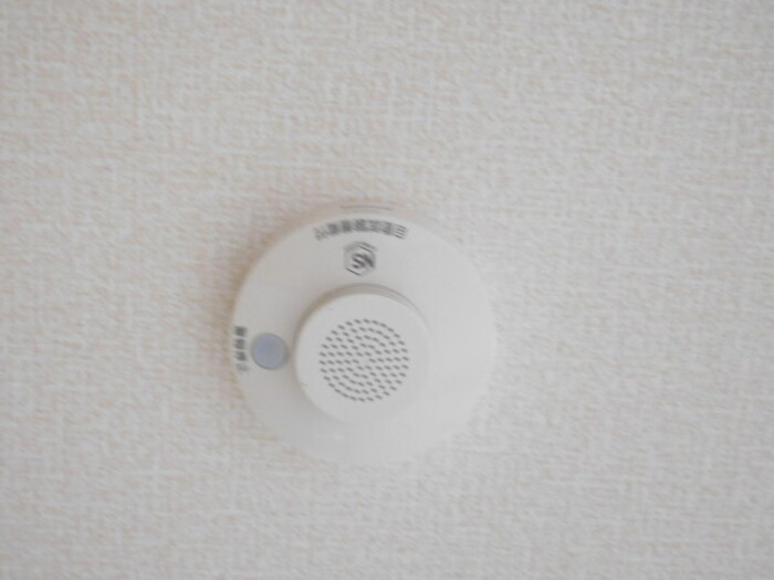 13/19 その他画像