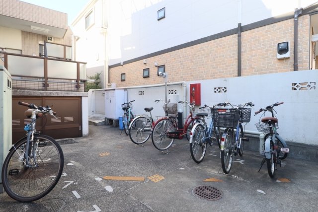 11/19 その他画像