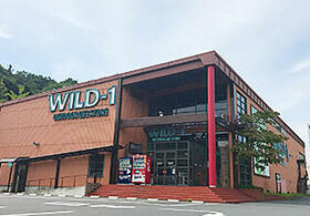 17/17 その他画像