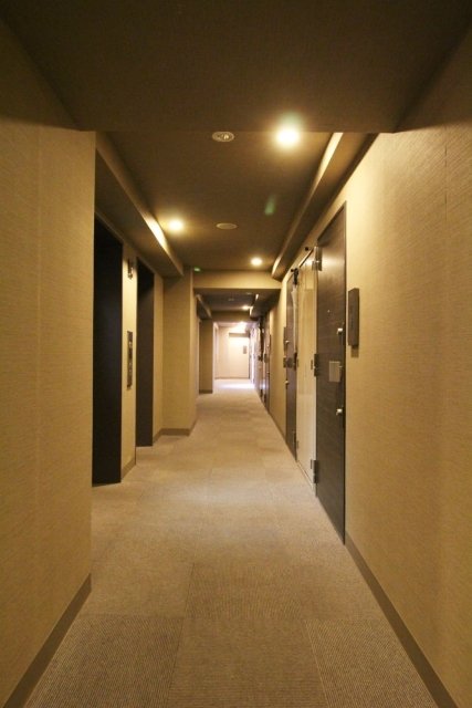 21/26 その他画像