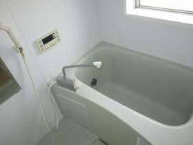 3/16 その他画像