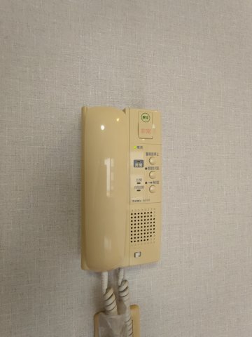 11/25 その他画像