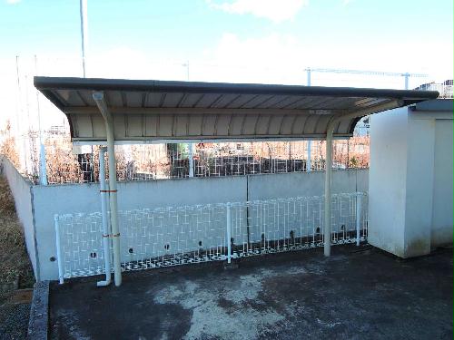 11/20 その他画像