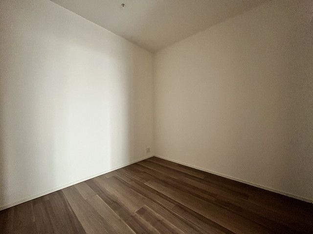 26/29 その他画像