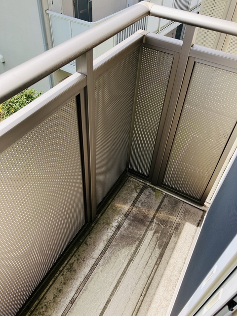 8/23 バルコニー