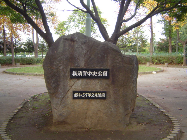 6/8 周辺