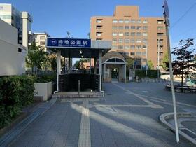 16/19 その他画像