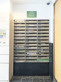 15/16 その他画像