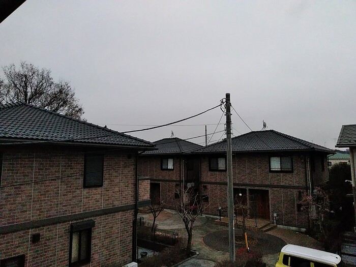 17/21 その他画像