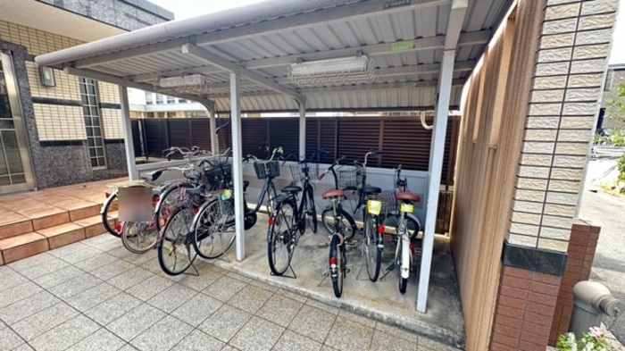 3/14 その他画像