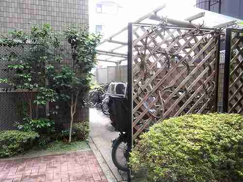 6/19 その他画像