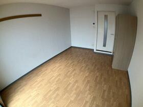 11/16 その他画像