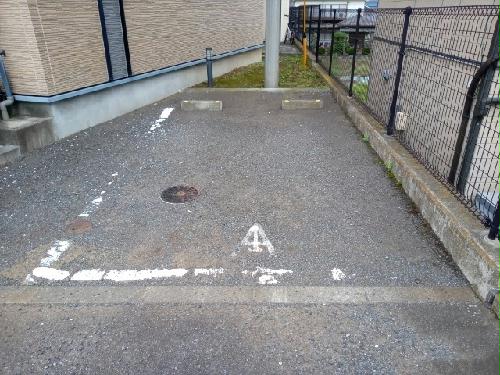 11/14 その他画像