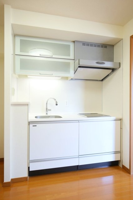 24/29 その他画像