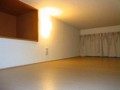 11/14 その他画像