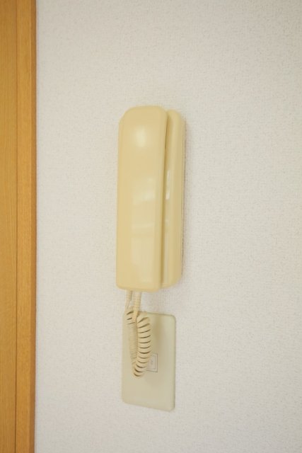 19/25 その他画像