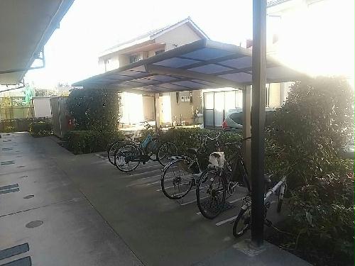 5/19 その他画像