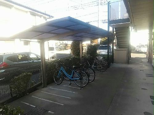 6/19 その他画像