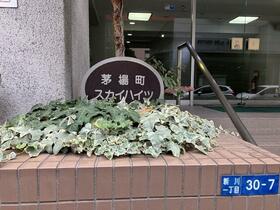 16/16 エントランス