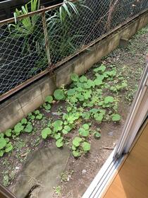 12/12 その他画像