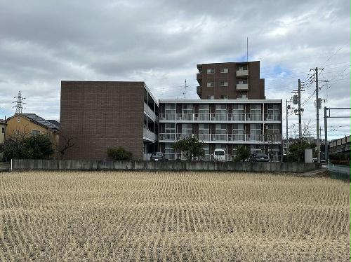 7/21 その他画像