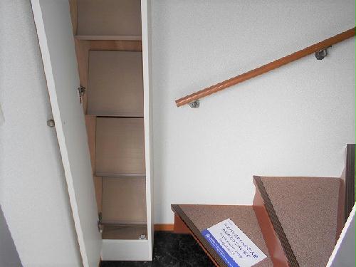 8/24 その他画像