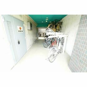 5/11 その他画像