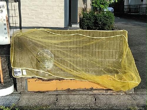 10/15 その他画像