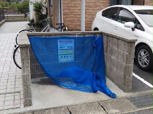 8/12 その他画像