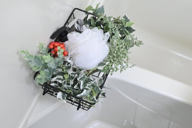 25/29 その他画像