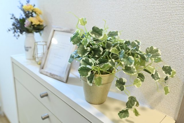 26/29 その他画像