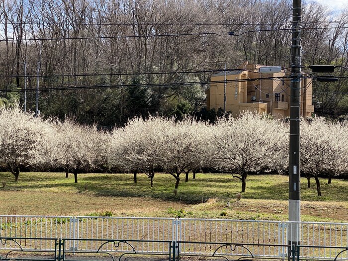 16/24 その他画像