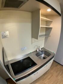 5/16 その他画像