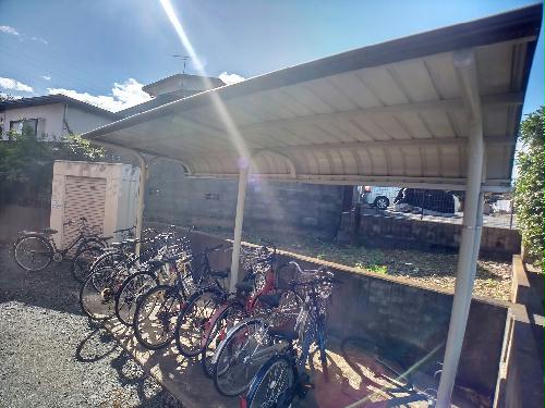 11/14 その他画像