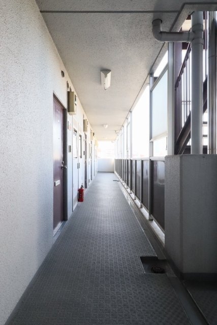 19/26 その他画像