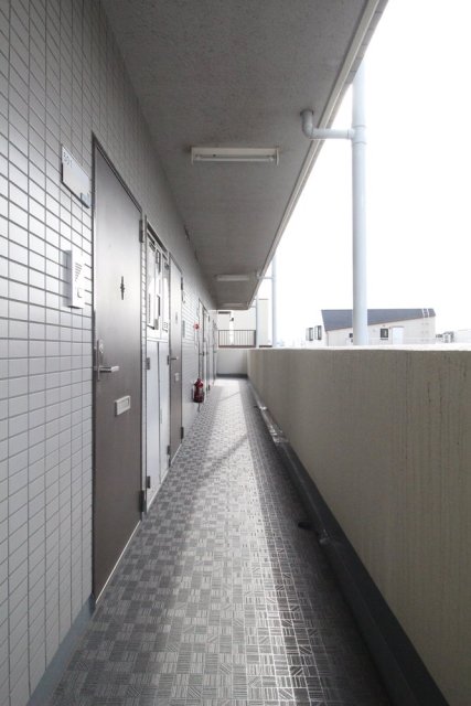 5/14 その他画像