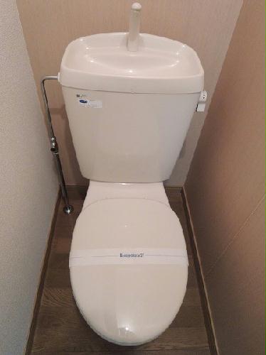 8/14 その他画像