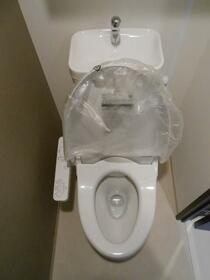 11/11 その他画像