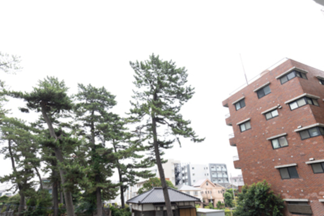 12/17 その他画像