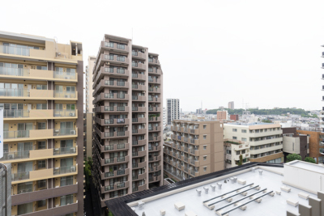 15/19 その他画像