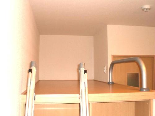 8/19 その他画像